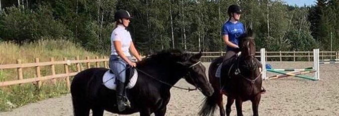 Leir i sprang og dressur med Storm